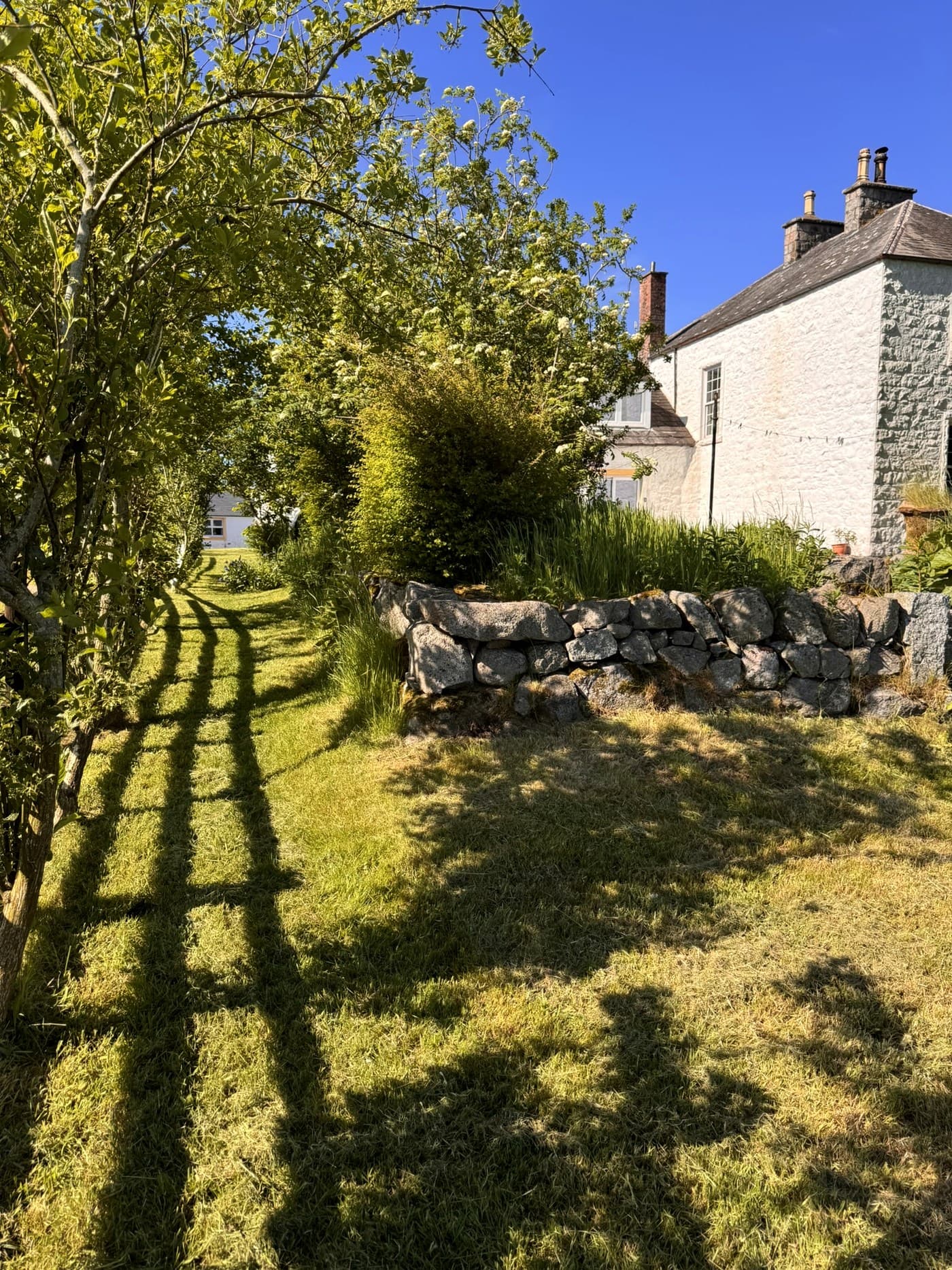 Orchard path and stone wall beside Meikle Richorn